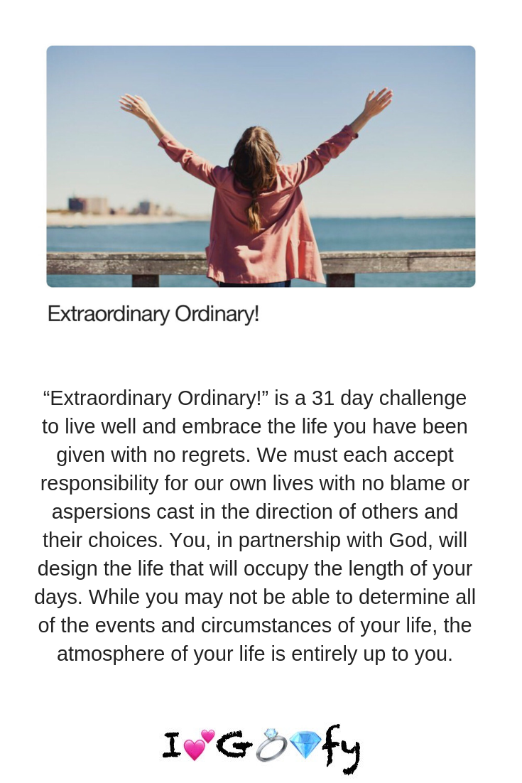 Extraordinary Ordinary! - iheartgoofy